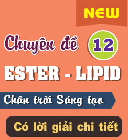 Ester - Lipid (CTST)